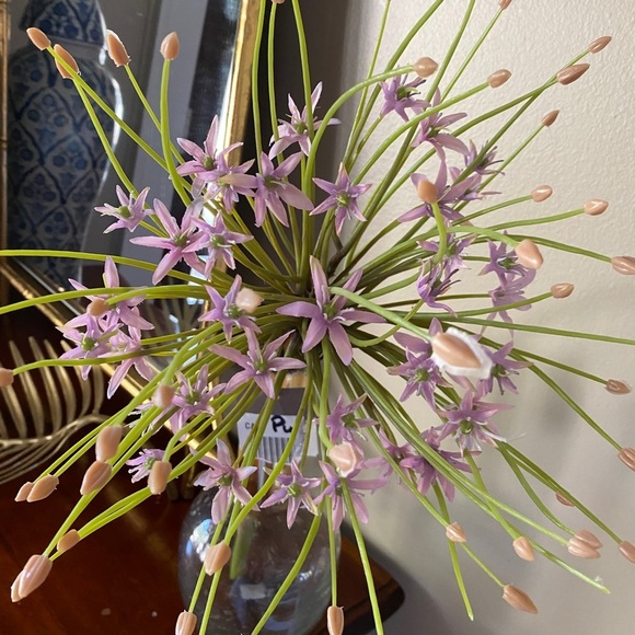 Anthropologie Terrain Faux Allium Stem - Picture 6 of 8